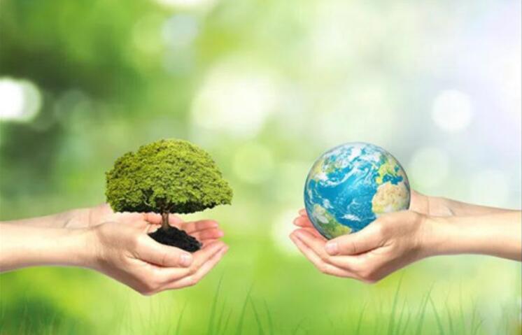 人与自然和谐作文800字议论文