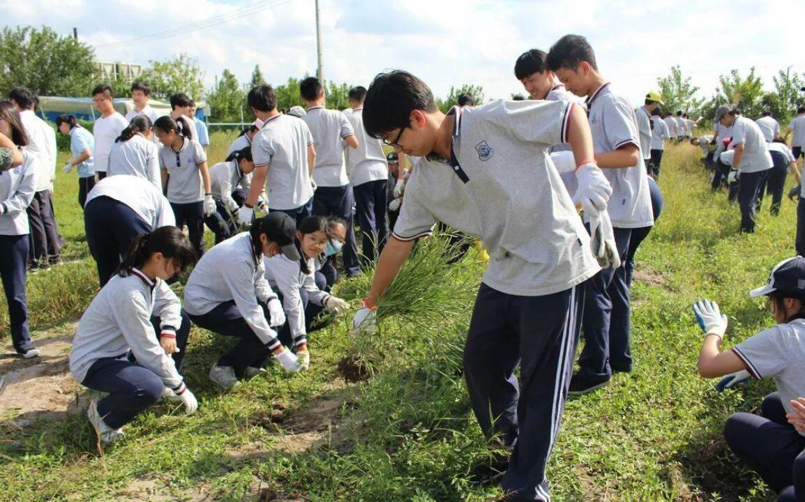 学农文化节.jpg 学农文化节.jpg