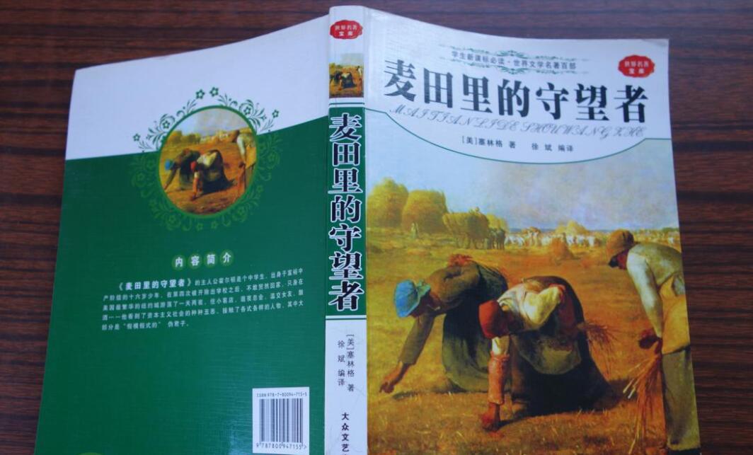 《麦田里的守望者》书籍.jpg
