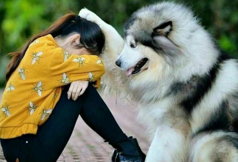 这一刻,我真伤心.jpg 这一刻,我真伤心.jpg