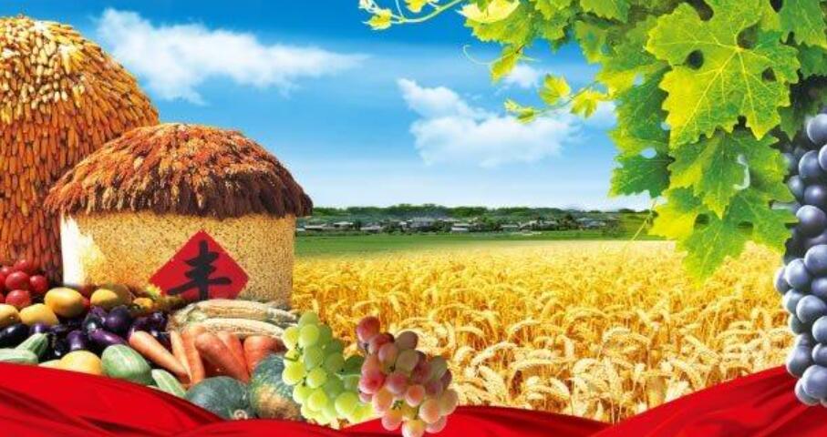 善良的秋姑娘作文450字