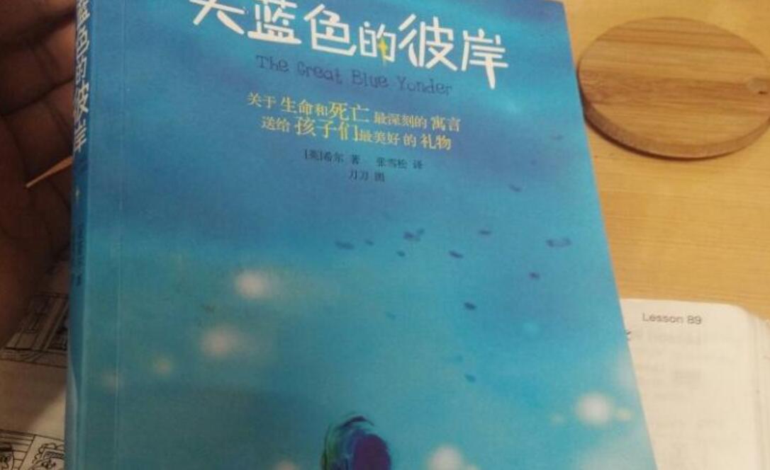 《天蓝色的彼岸》书籍.jpg