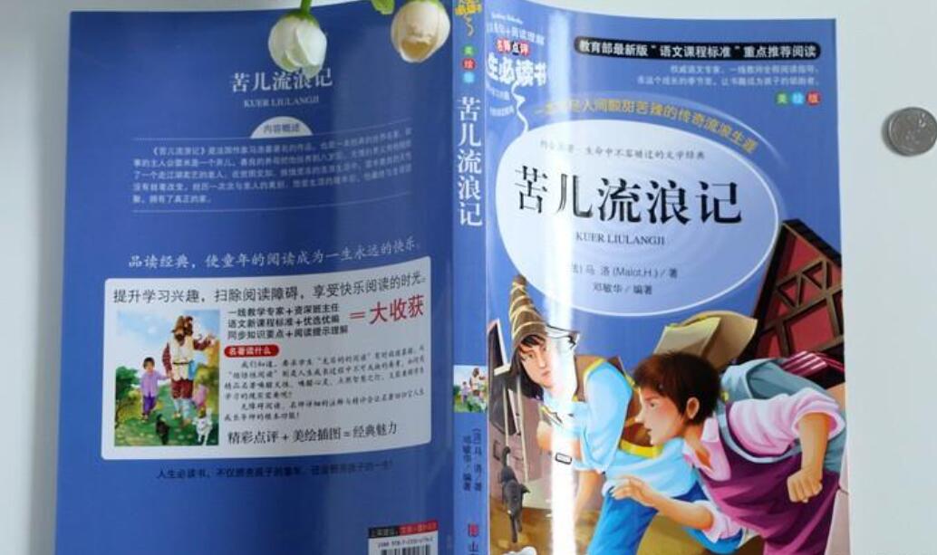 《苦儿流浪记》书籍.jpg