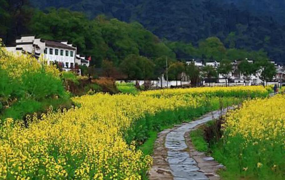 乡村景致小练笔四年级200字