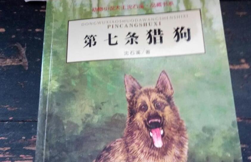 《第七条猎狗》读后感400字六年级