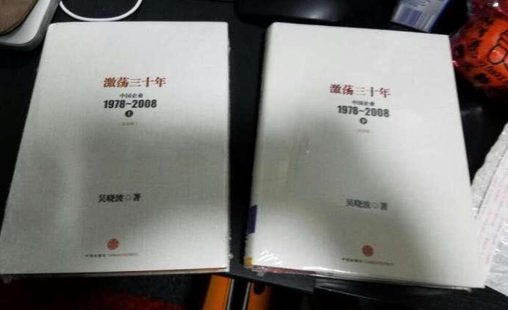 《激荡三十年》读后感400字