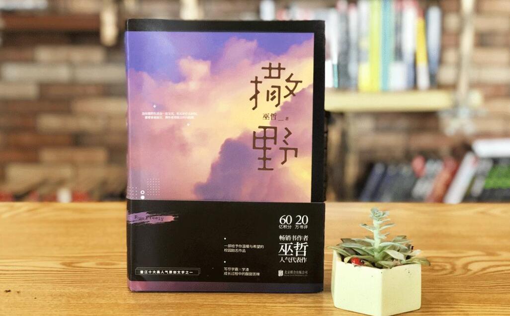 读《撒野》有感800字