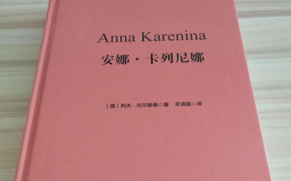 《安娜卡列尼娜》读后感400字五年级