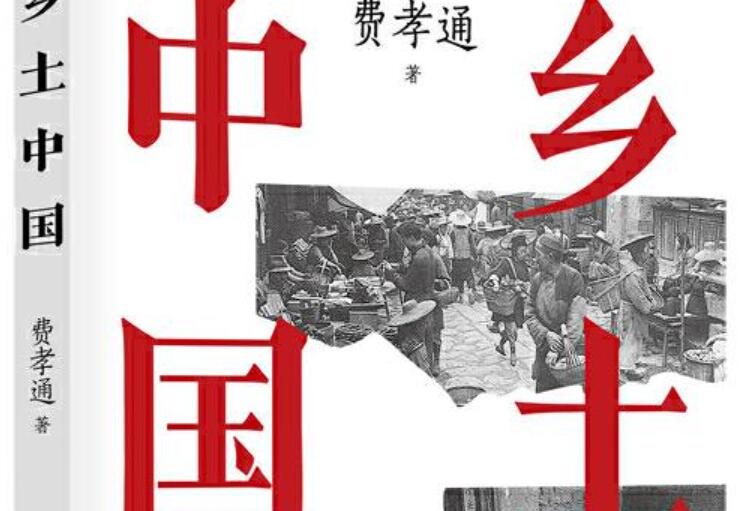 《乡土中国》读后感400字