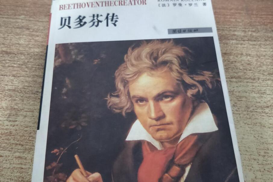 《贝多芬传》读后感400字