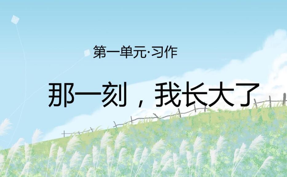 那一刻我长大了作文800字五年级