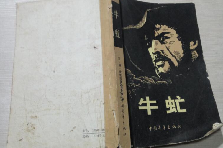 牛虻读书笔记摘抄好词好句及感悟赏析