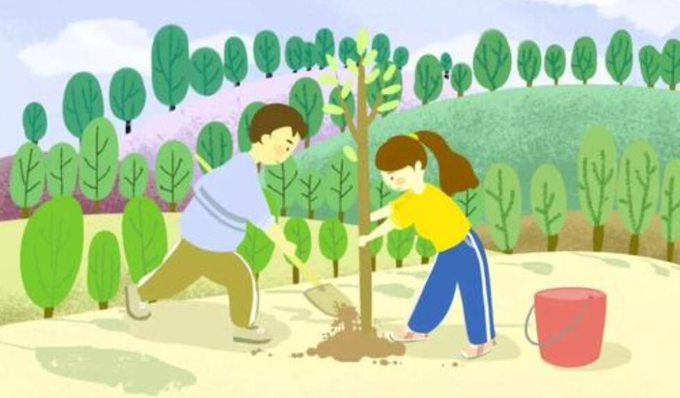 植树节作文300字左右三年级