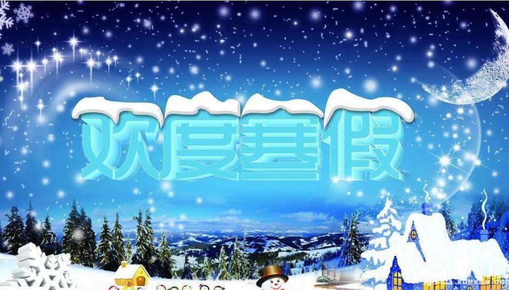 我将这样度过寒假作文600字初一