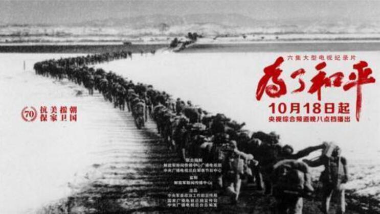 《为了和平》纪录片观后感800字