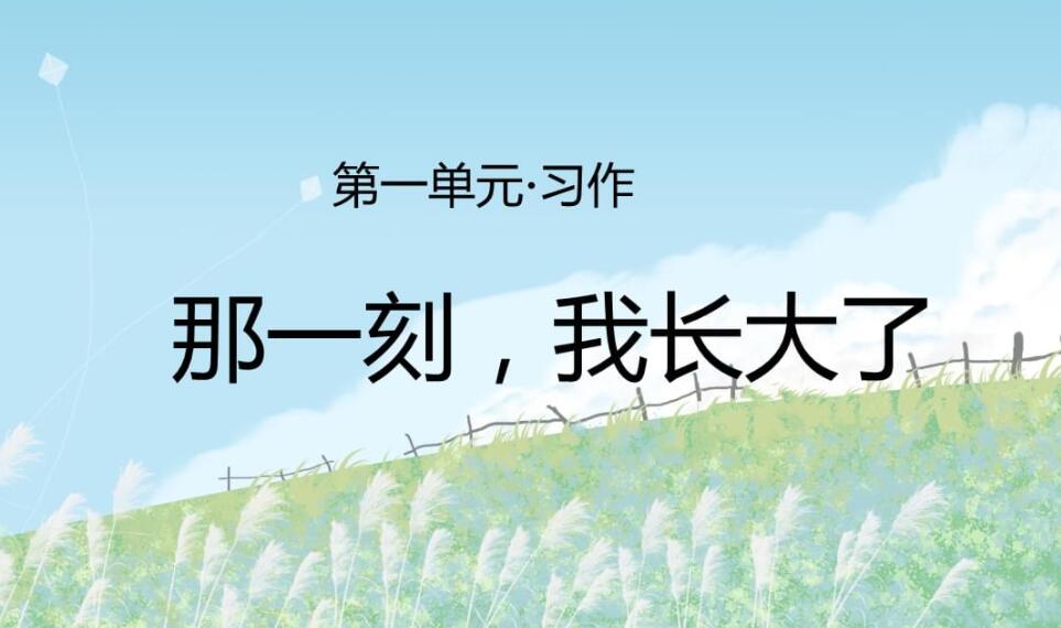 那一刻我长大了作文500字五年级下册-妈妈生病了