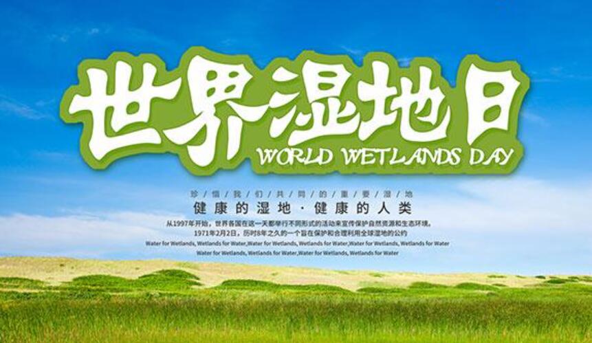 世界湿地日作文500字