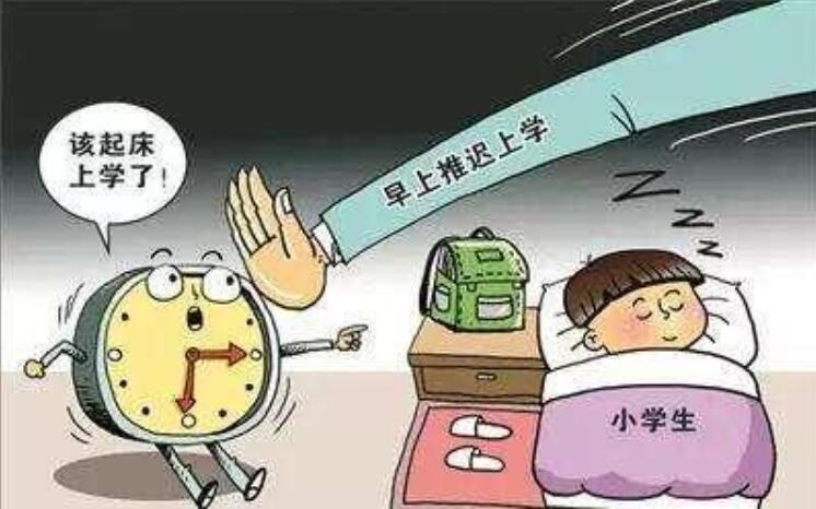迟到了作文500字