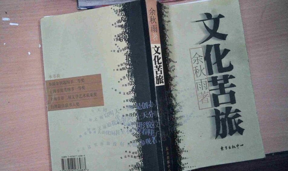 《文化苦旅》读后感1000字初中