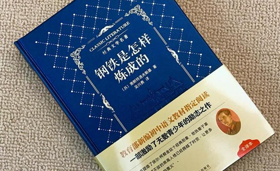 《钢铁是怎样炼成的》读后感1000字初二