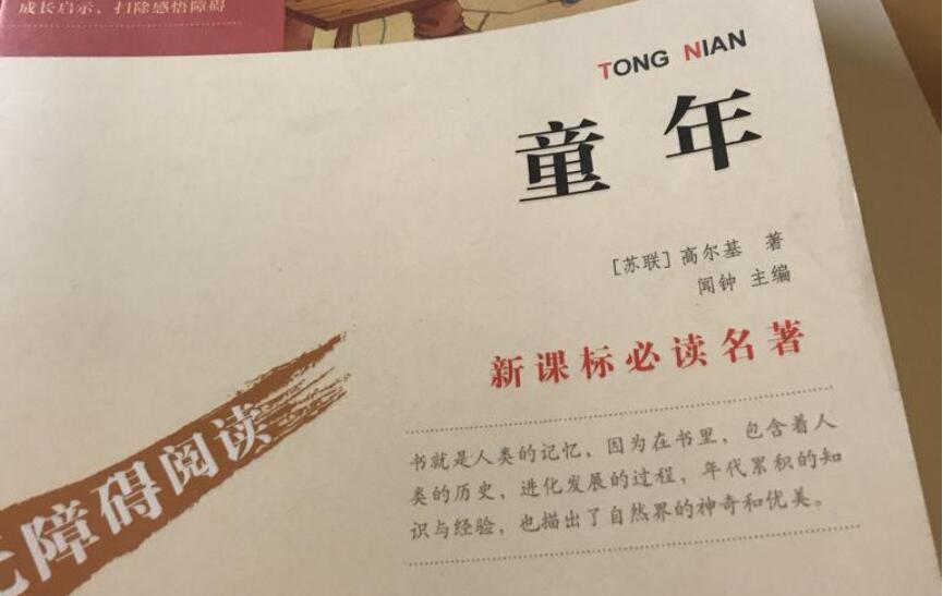 《童年》读后感1000字初一