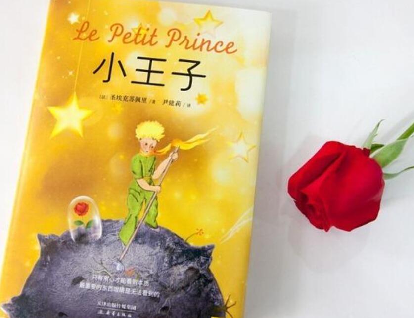 《小王子》读后感1000字六年级