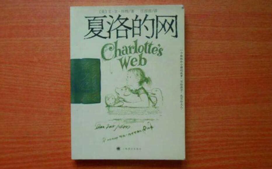 《夏洛的网》读后感1000字五年级作文
