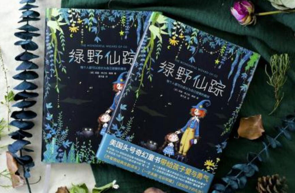 《绿野仙踪》读后感1000字高中