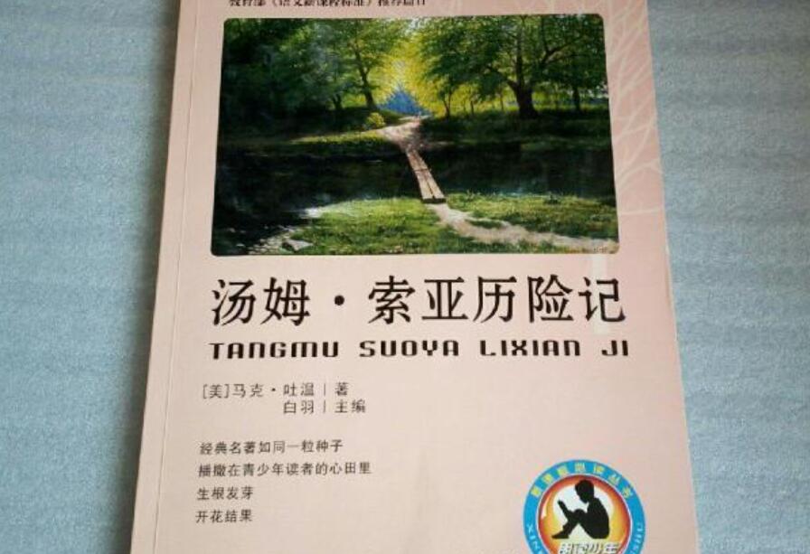 《汤姆索亚历险记》读后感1000字作文