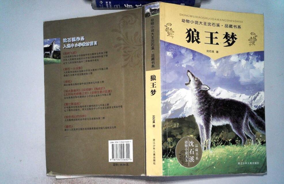 《狼王梦》读后感1000字初中作文