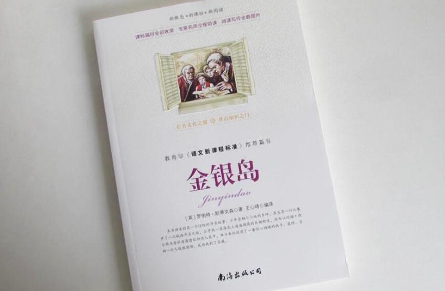 《金银岛》读后感1000字高中作文