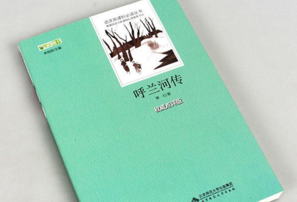 《呼兰河传》读后感1000字高中作文