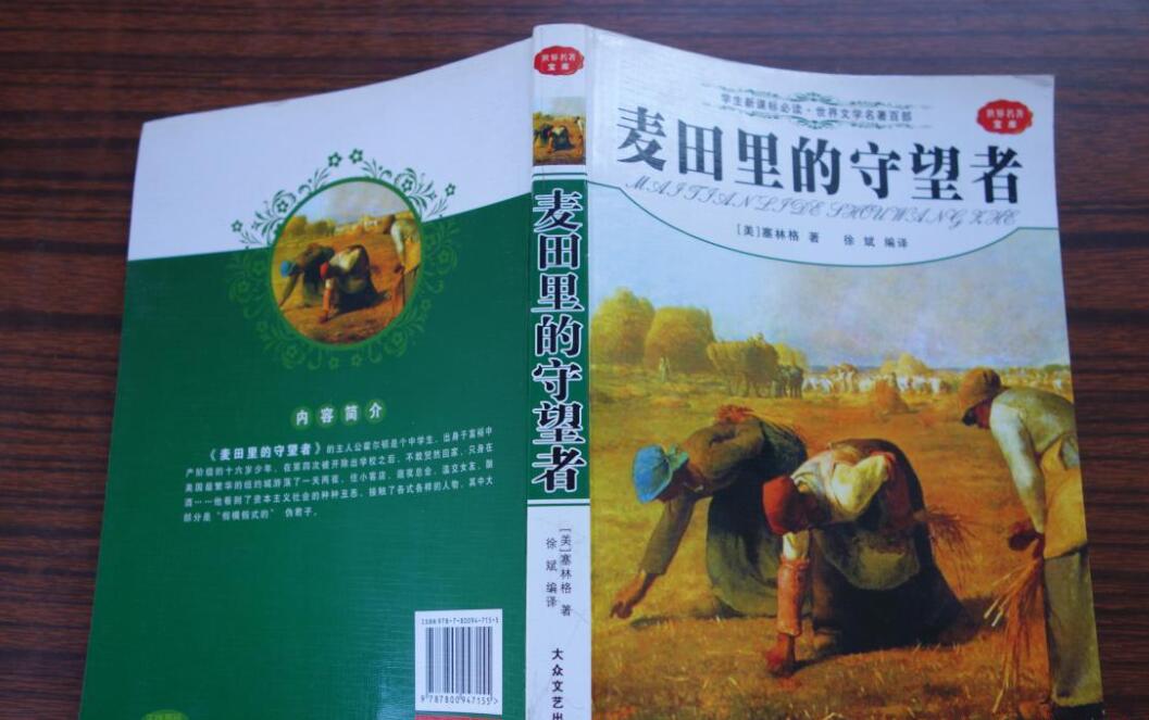 《麦田里的守望者》读后感1000字高中作文