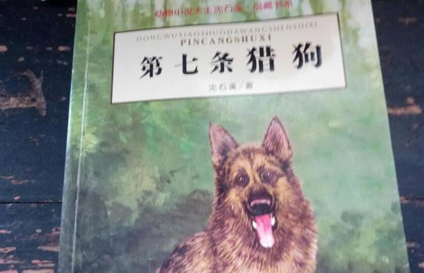 《第七条猎狗》书籍.jpg