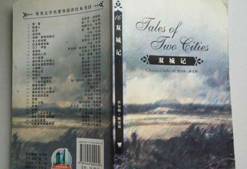 双城记读后感600字