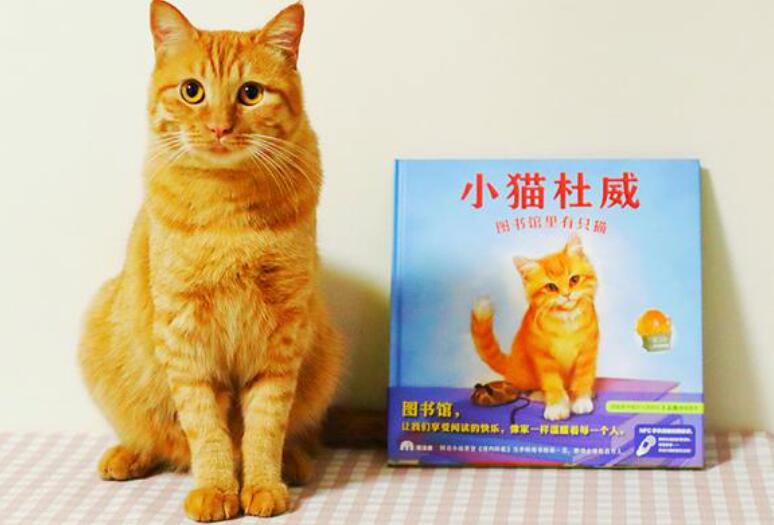 《小猫杜威》书籍.jpg