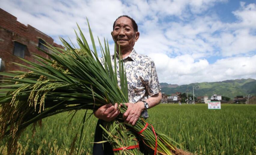 纪念袁隆平.jpg