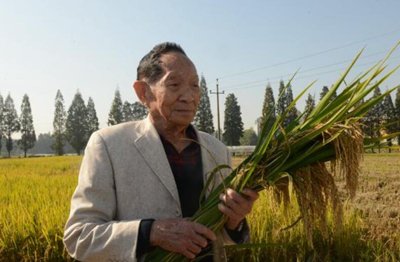 铭记袁隆平.jpg