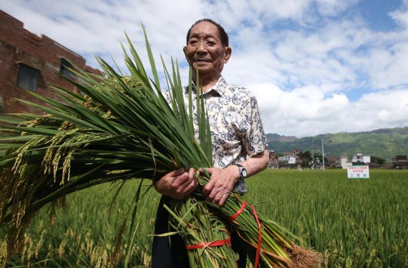 缅怀袁隆平作文800字2篇