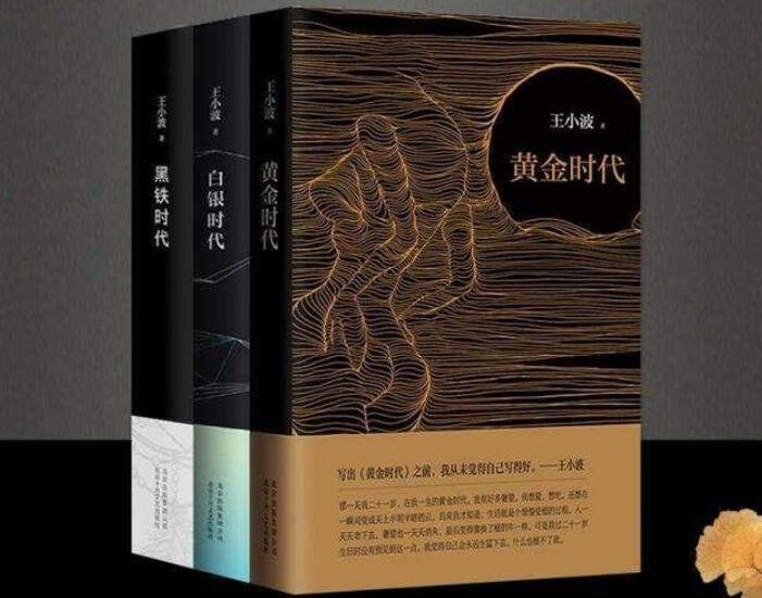 王小波《黄金时代》读后感800字