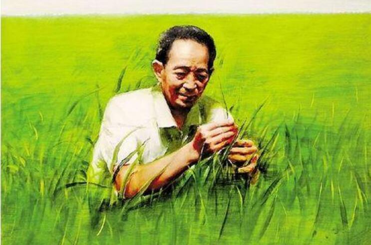 感恩袁隆平作文400字2篇