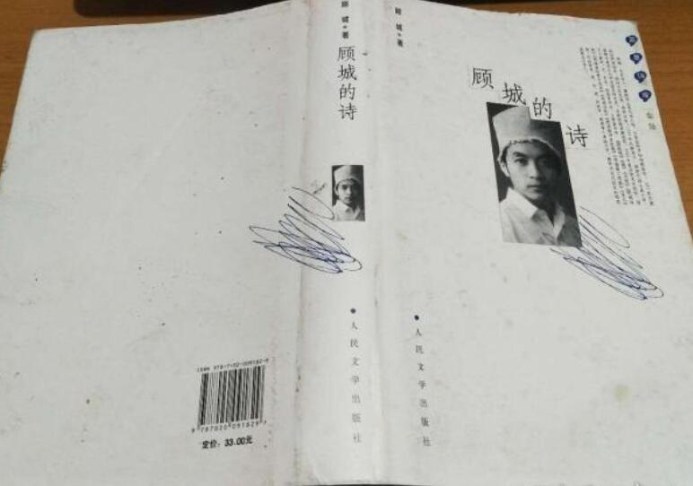 顾城的诗读后感600字2篇