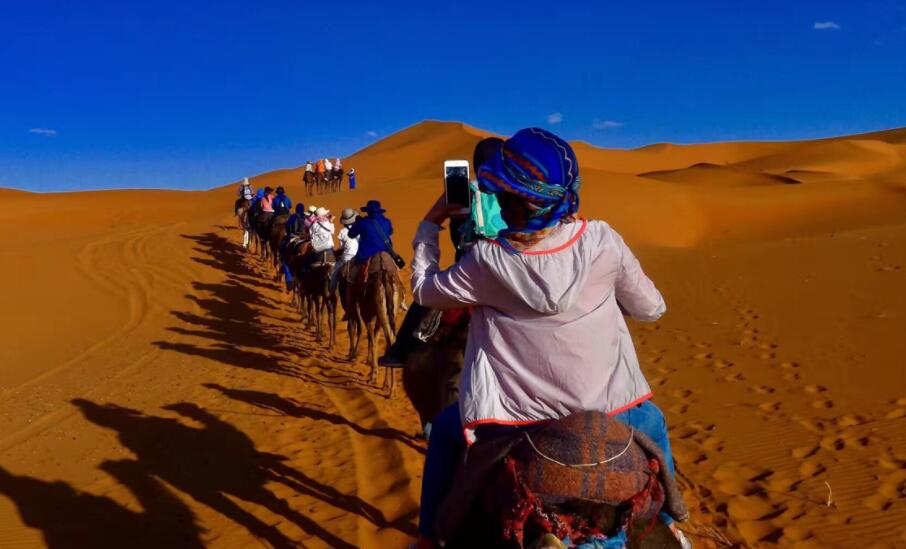 神奇的探险之旅作文600字沙漠之旅