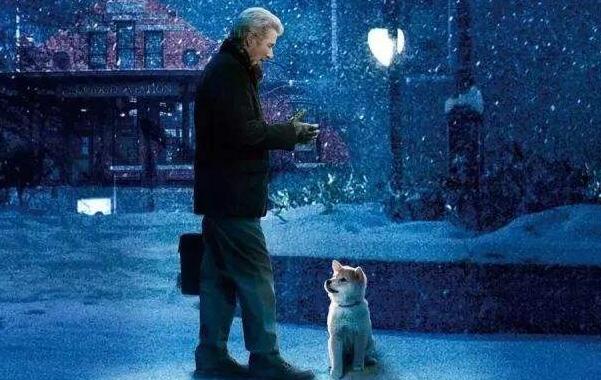 一生的守候——《忠犬八公的故事》观后感影评.jpg 一生的守候——《忠犬八公的故事》观后感影评.jpg