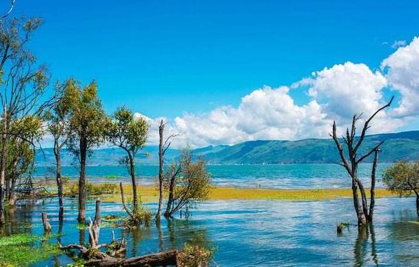 有趣的“水上森林”之旅-以游记为话题作文800字.jpg 有趣的“水上森林”之旅-以游记为话题作文800字.jpg