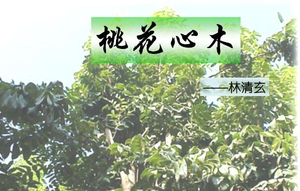 在不确定中成长——读《桃花心木》有感500字.jpg 在不确定中成长——读《桃花心木》有感500字.jpg