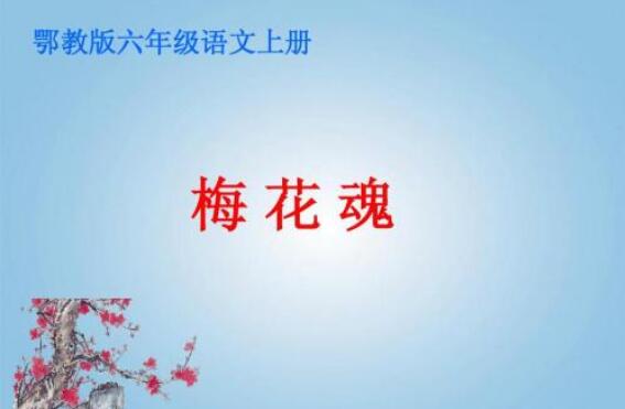 《梅花魂》 《梅花魂》