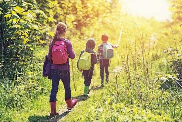 与阳光相伴的日子.jpg 与阳光相伴的日子.jpg