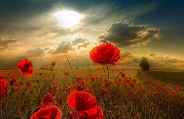 看见.jpg 看见.jpg