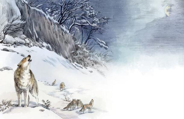 《狼王梦》.jpg 《狼王梦》.jpg